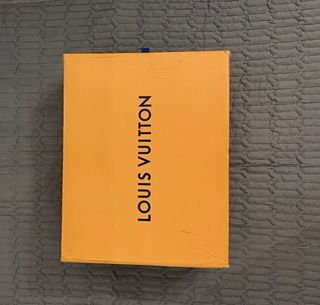 Sneakers Louis Vuitton Skaters