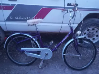 Bicicleta Carraro Morada