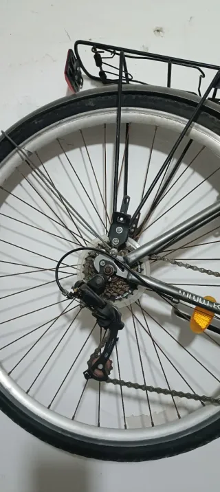 Bicicleta Kenzel 800 Gris