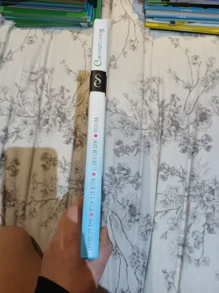 Libro cuenta cuentos bilingüe