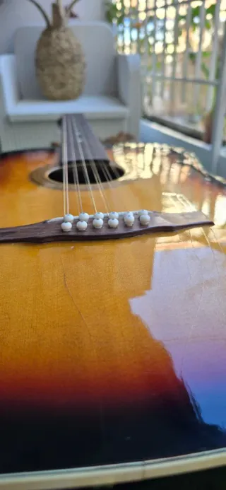 Guitarra 12 Cuerdas