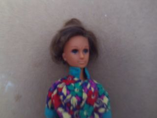 muñeco padre de chabel sol y nieve dany o danny  .