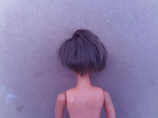 muñeco padre de chabel sol y nieve dany o danny  .