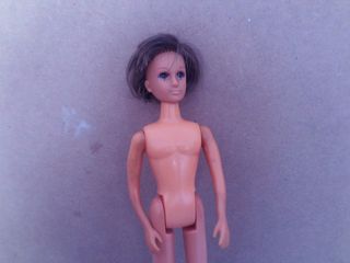 muñeco padre de chabel sol y nieve dany o danny  .