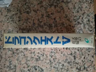 Dragon Quest V Super Famicom Japonés