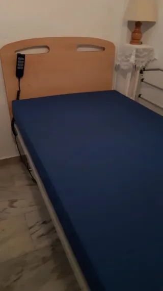 Cama articulada eléctrica con carro elevador