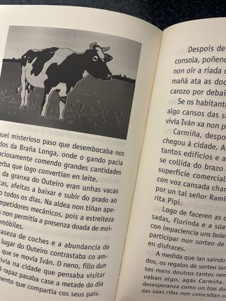 O SEGREDO DOS ZAPATOS