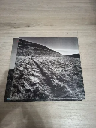 Gary Moore Wild Frontier LP Vinilo