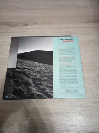 Gary Moore Wild Frontier LP Vinilo