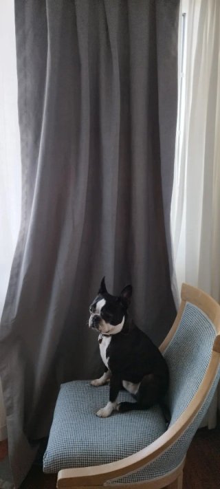 Par de cortinas opacas grises