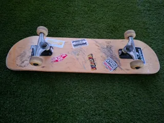 Monopatín o tabla de skate