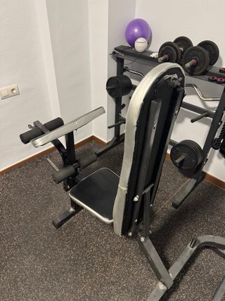 Banco de Press Banca con pesas