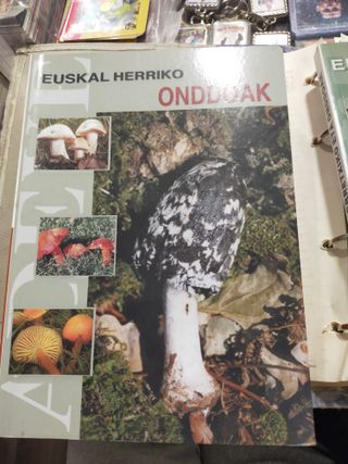 EUSKAL HERRIKO ONDDOAK