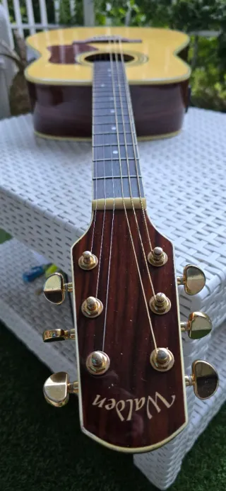 Guitarra Electroacústica Walden