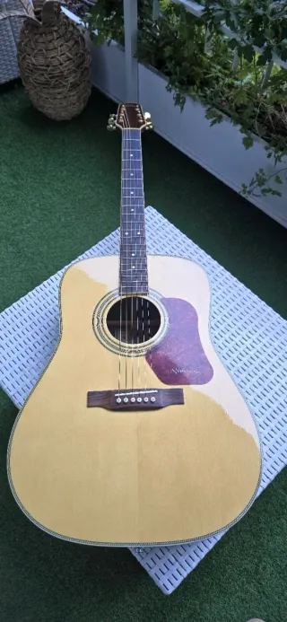 Guitarra Electroacústica Walden