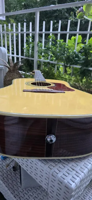 Guitarra Electroacústica Walden