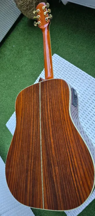 Guitarra Electroacústica Walden