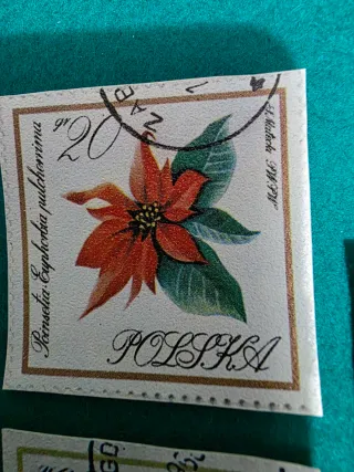 Lote de 5 sellos de Polonia con flores