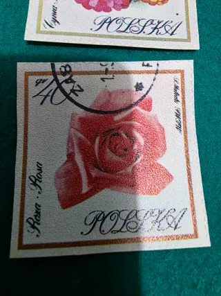 Lote de 5 sellos de Polonia con flores