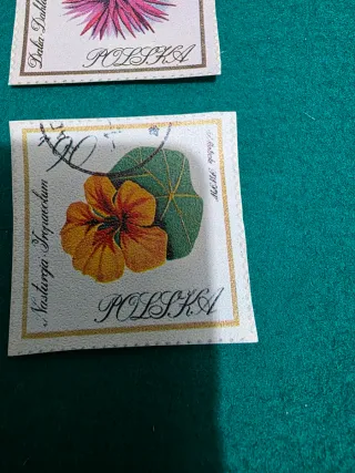 Lote de 5 sellos de Polonia con flores