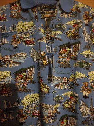 Polo Ralph Lauren Camisa Estampada