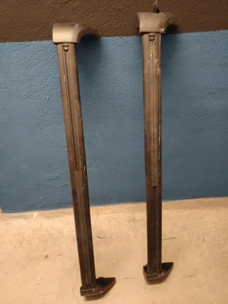 Portaequipajes Renault Scenic