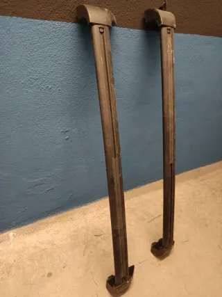 Portaequipajes Renault Scenic