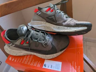 Zapatillas Nike Trail Pegasus Gris/Rojo