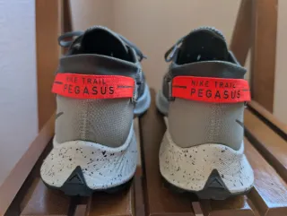 Zapatillas Nike Trail Pegasus Gris/Rojo