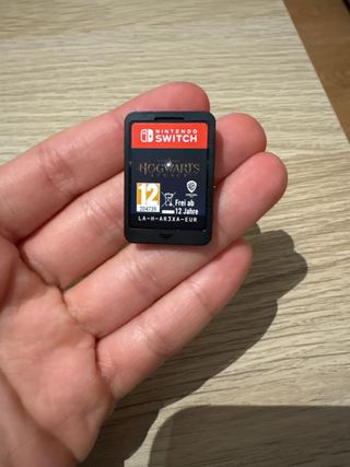 Hogwarts Legacy Nintendo Switch