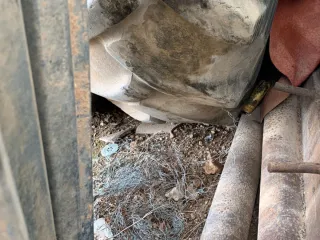 Ruedas Massey Ferguson