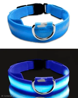 Collare LED Cane Blu Alta Visibilità