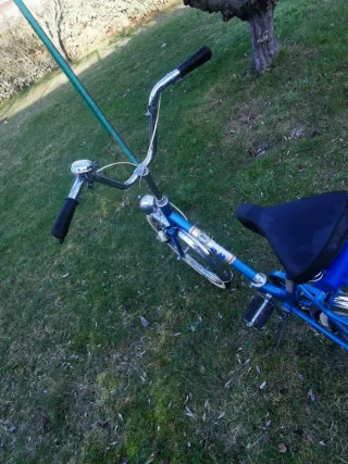 Bicicleta BH Gacela Azul