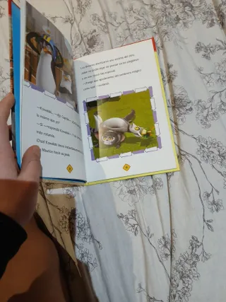 Los Pingüinos de Madagascar. El casco. Jóvenes ...