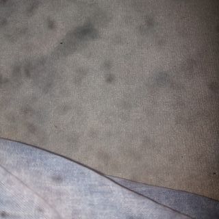 Busco trabajo en trailer