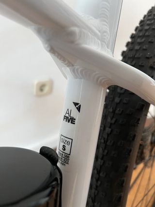 Bicicleta Montaña BMC Twostroke AL