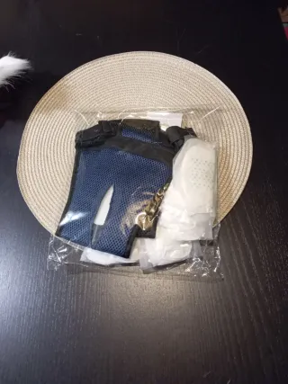 Braguitas menstruación para perros