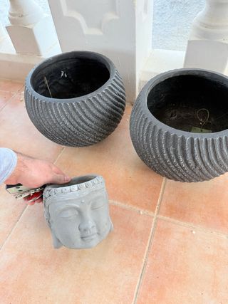 Juego de 2 macetas grandes y 1 maceta Buda+plntas