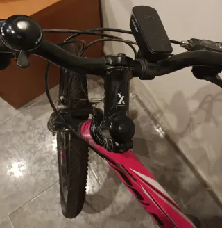 Bicicleta  Rosa