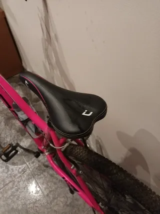 Bicicleta  Rosa