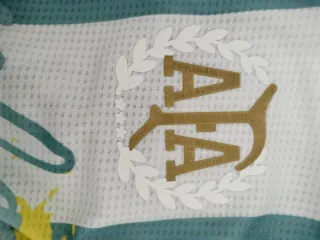 Camiseta Argentina Messi Talla M Edición Especial