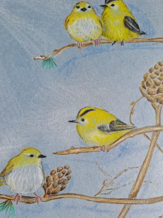 Originale disegno uccellini su albero pino matita