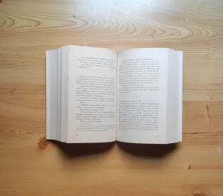 Karl y Rosa: Noviembre 1918 (3) (Novela histórica)