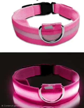 Collare LED cane alta visibilità rosa