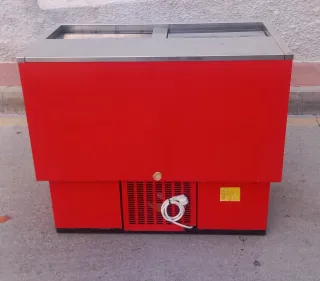 NEVERA BOTELLERO MUY CUIDADA