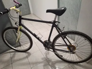Bicicleta de Montaña
