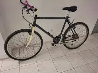 Bicicleta de Montaña