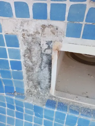 Reparación general de piscinas - Azulejos y piedra