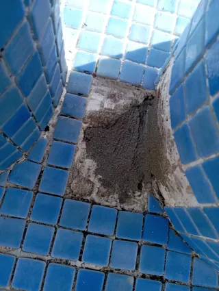 Reparación general de piscinas - Azulejos y piedra
