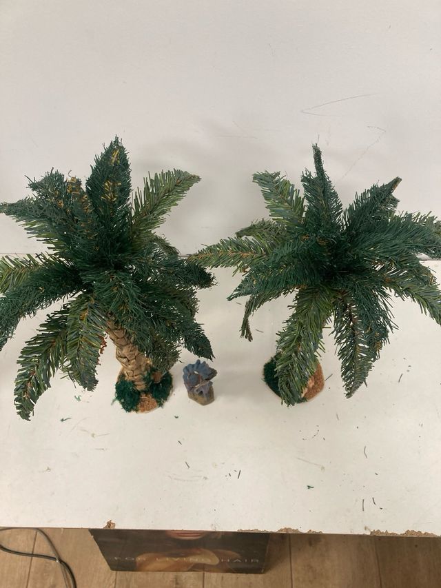 Palmeras para Belén (2 unidades)
